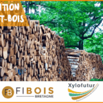 Xylofutur