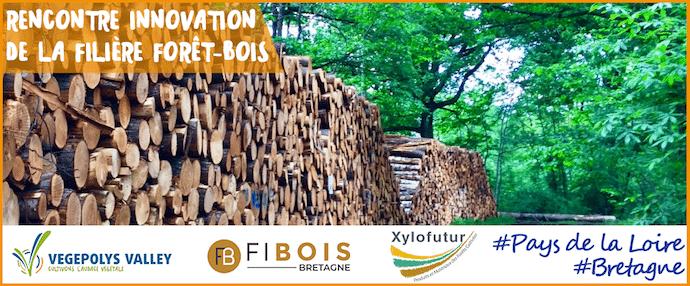 Xylofutur