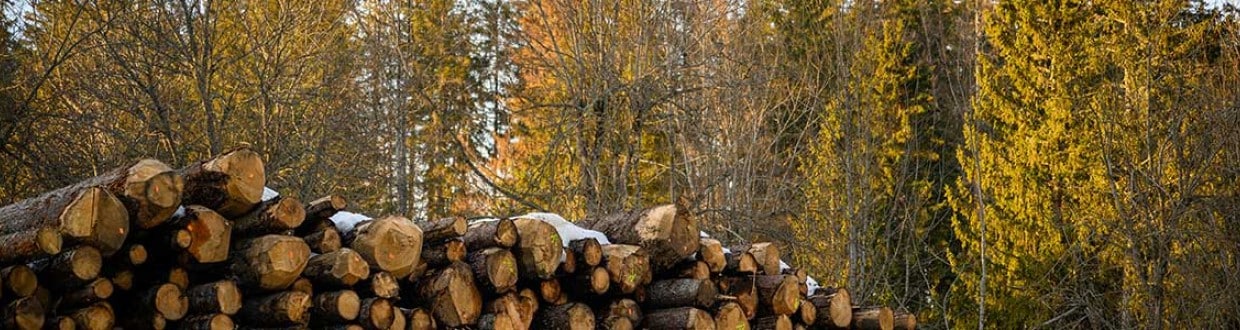Ab085128 Web 1200x300
