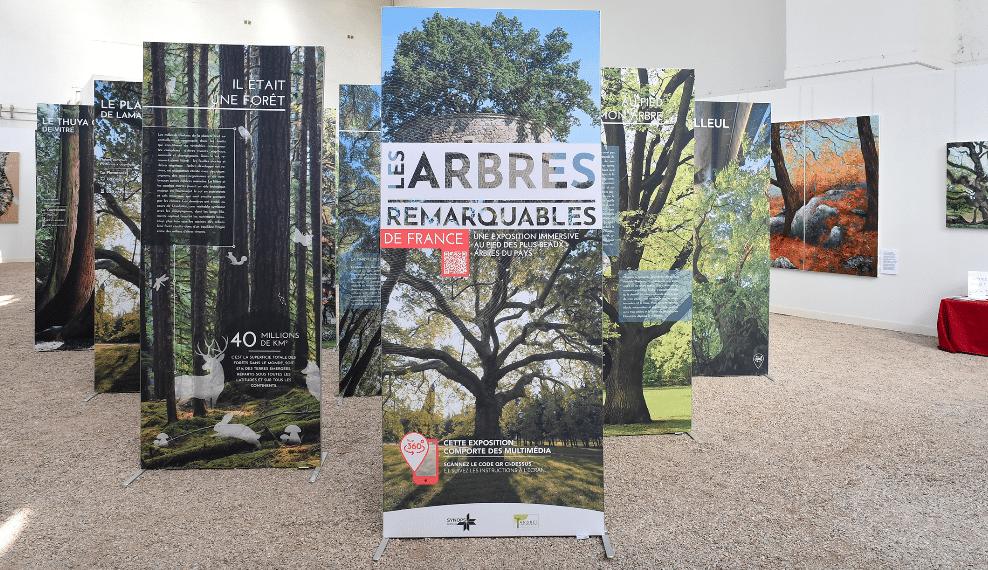 Expoarbresremarquables1
