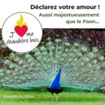 Ma Chère Chaudière, 4