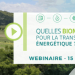 Webinaire Biomasses Min