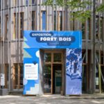 Fibois Boulevard Leon Bureau Bonjour Humains Ici Les Arbres Le Voyage A Nantes 2024 Martin Argyroglo Lvantest