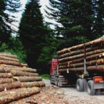 Naviforest Web