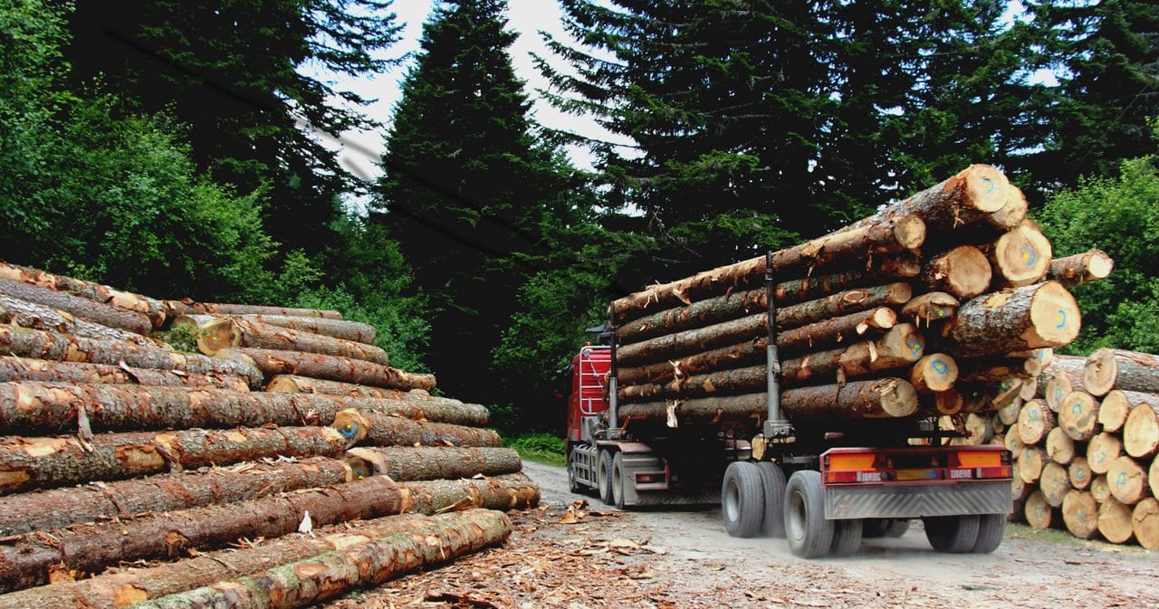Naviforest Web