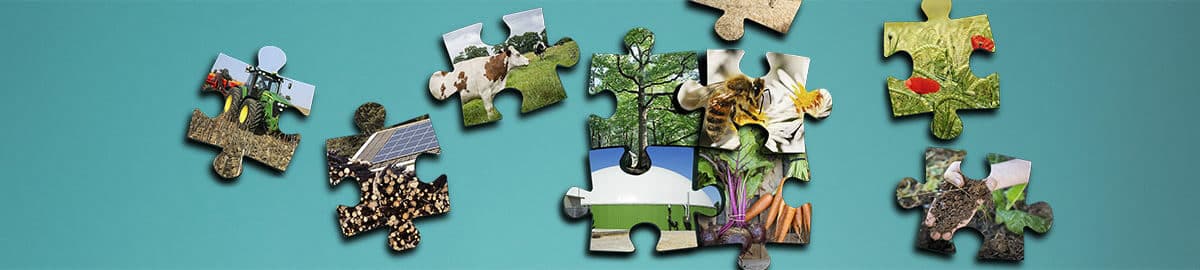 Bandeau Pages 1200x270 1