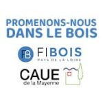 Logo Newsletter