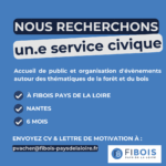 Service Civique