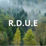 Rdue