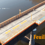 Book Feuillus 1536x864 1