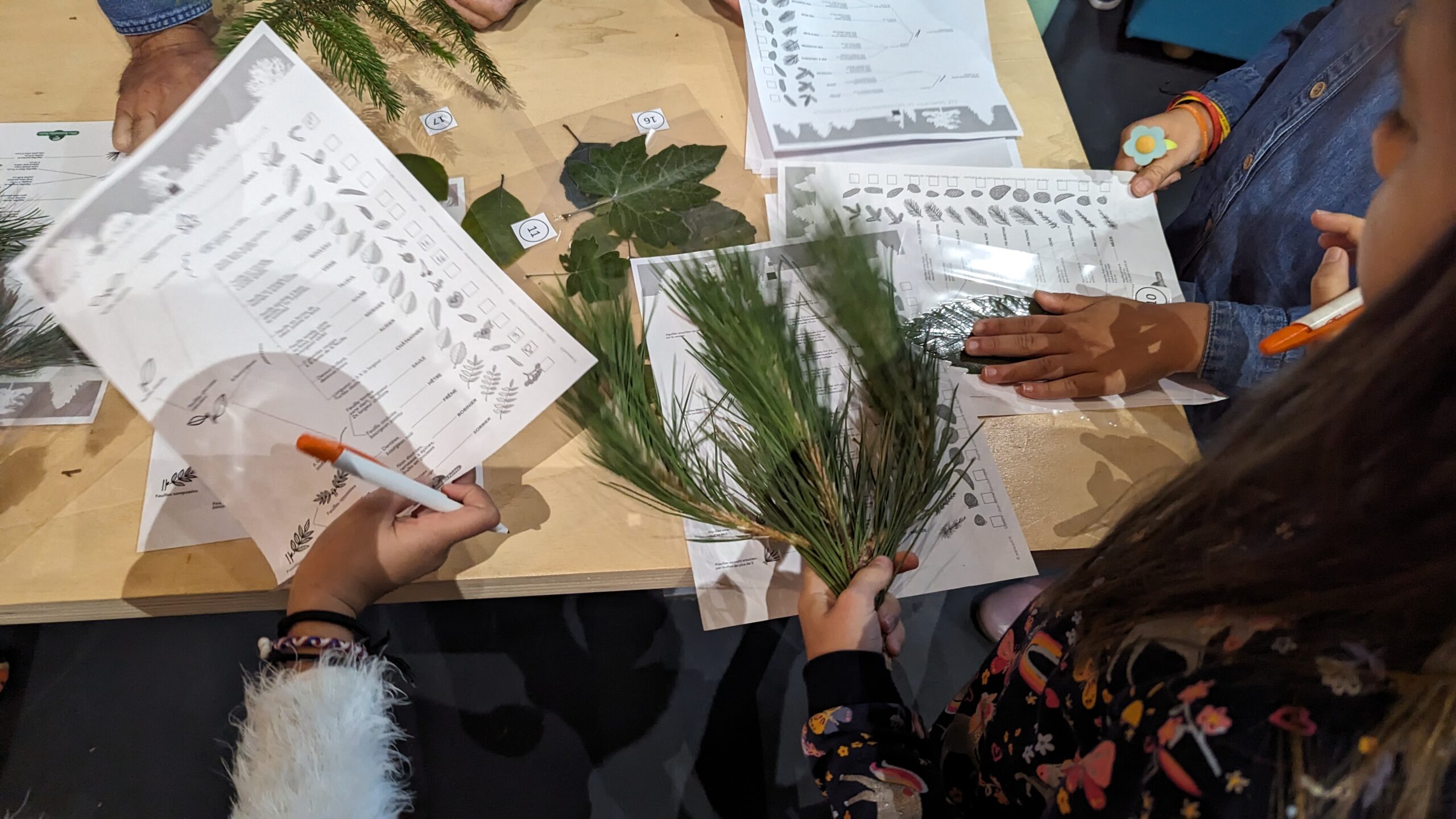 Animation Batiment B Fibois