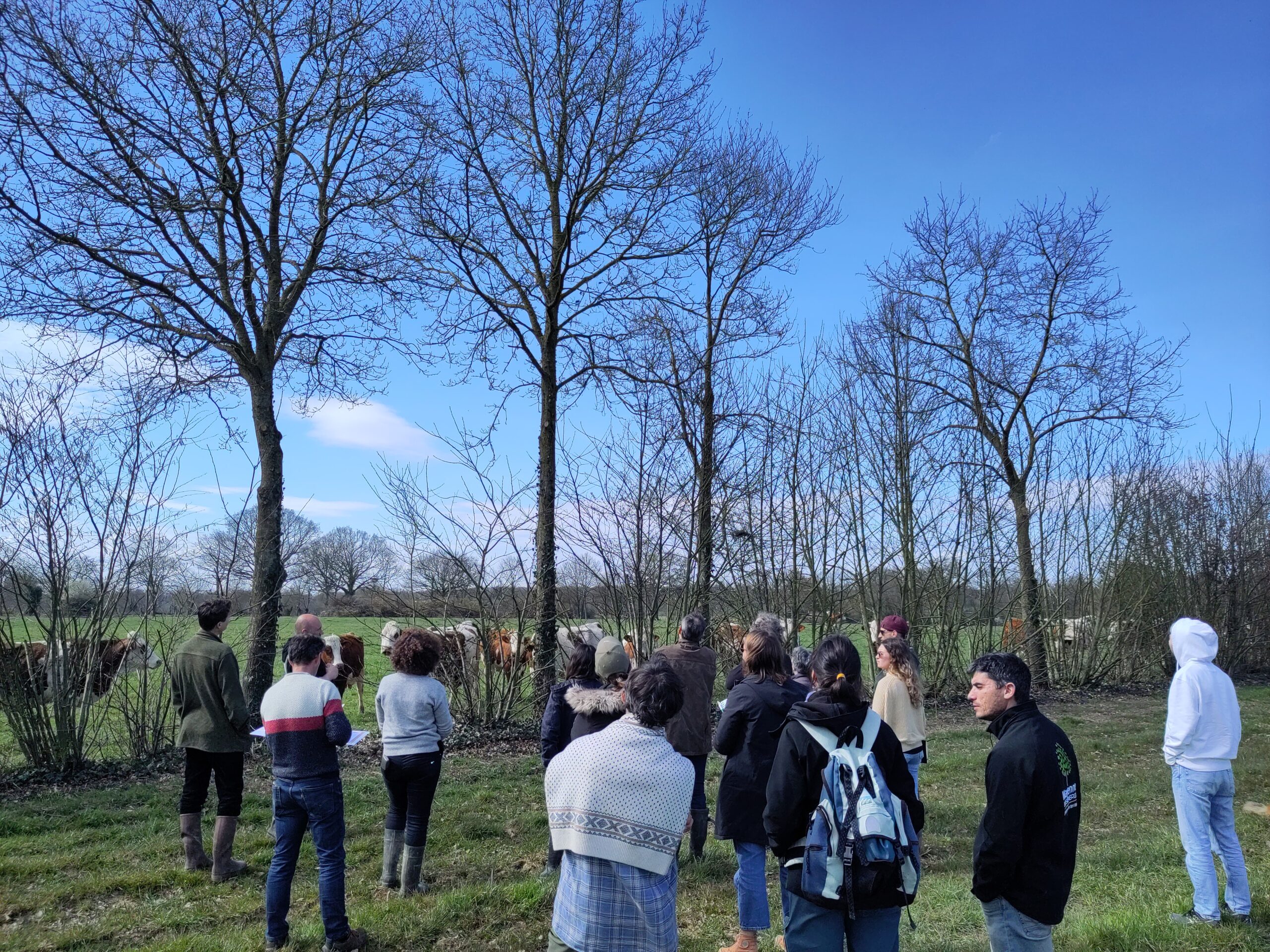 Foret Bois Et Territoires Visite En Foret Avec Des Elus