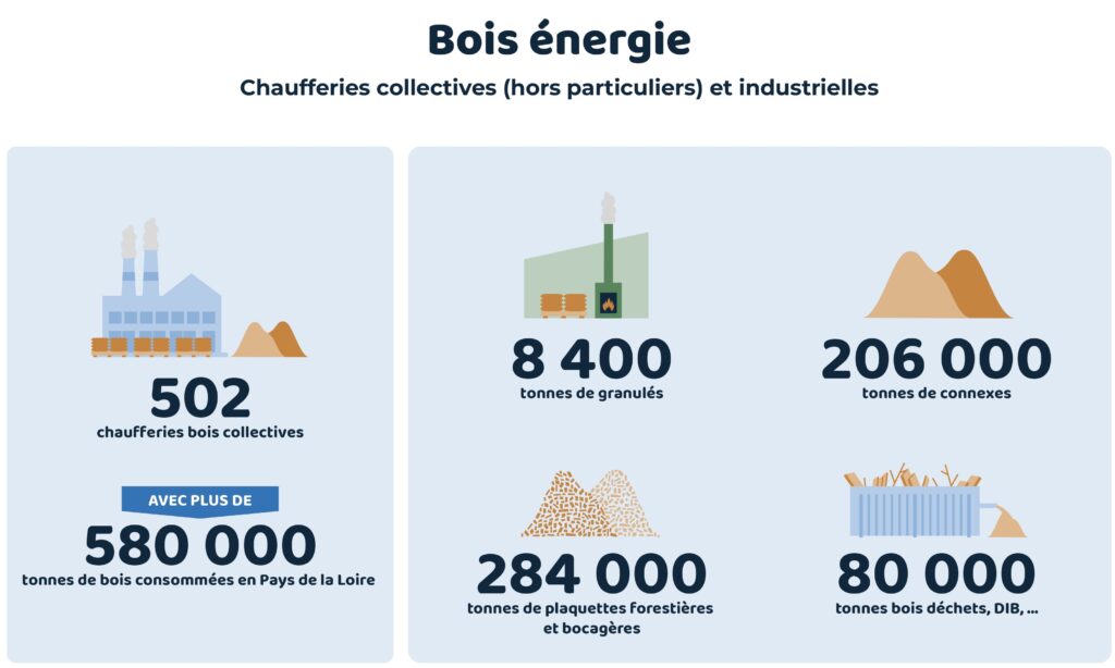 Infographie Bois Énergie