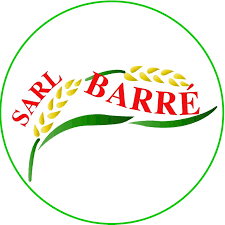 19959