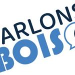 Logo Palons Bois