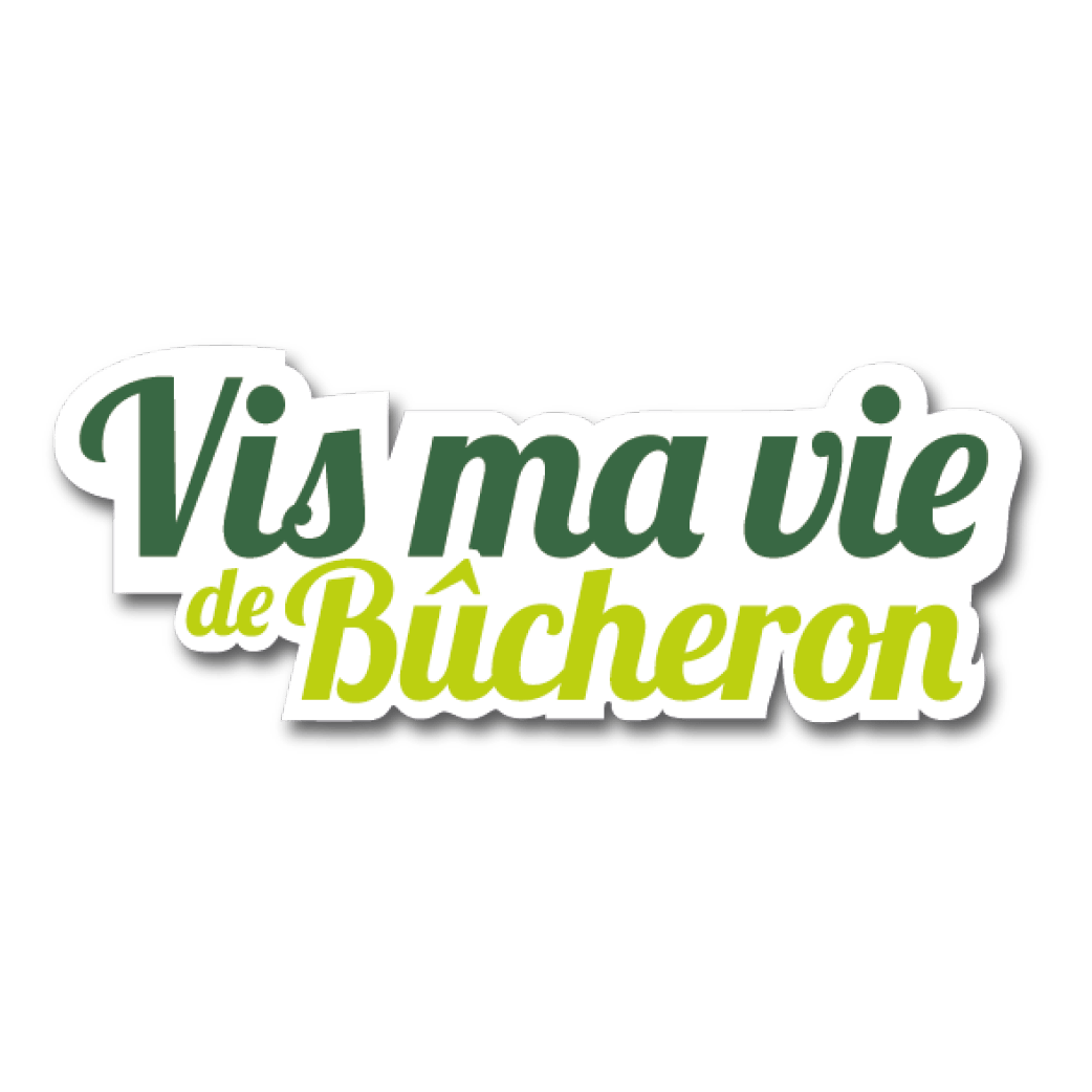 Vmvb Logo
