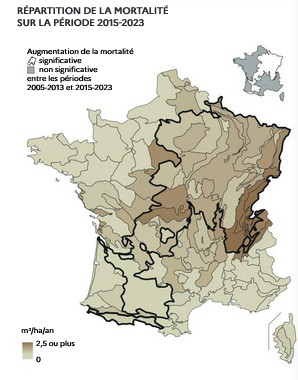 Carte France Mortalite