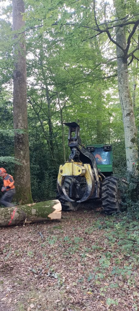 Img 20250924 112729 298