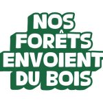 Nos Forets Envoient Du Bois Logo 1024x576
