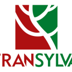 1591212231878 Logo Fransylva Bis