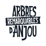 Logo Arbre Anjou 686x686
