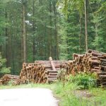 Desserte Forestiere4