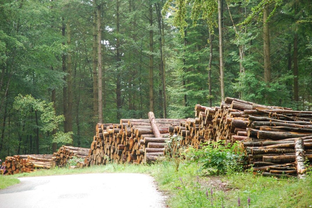 Desserte Forestiere4