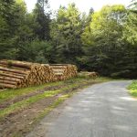 Desserte Forestiere 3