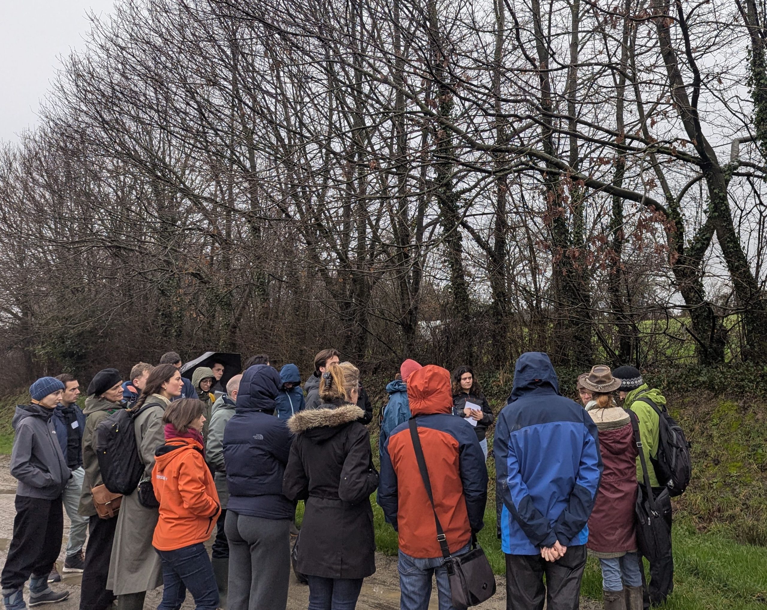 Pxl 20260210 091529490bis