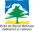18910