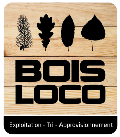 Logo Boisloco 1